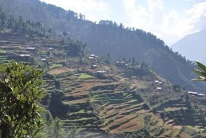 A Shivapuri hill terrain where lies Budhanilkantha. Photo: File photo. 