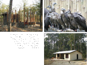 Breeding Center at the park, file photo.