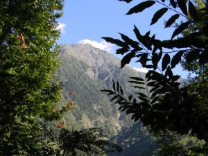 Monte Legnone - panoramio