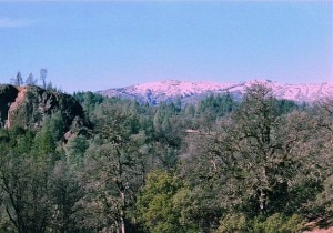 Parte della Mendocino National Forest nella California del Nord (Photo Marcia Wright courtesy of Wikimedia Commons)