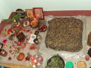 A Dashain Ghar where seeds has been sowed for Jamara  on Ghatasthapana, the first day of Dashain.