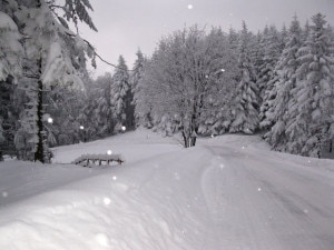 Neve (photo courtesy centrometeoitaliano.it)