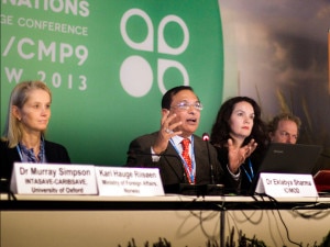 ICIMOD’s Director for Programme Operations, Eklabya Sharma delivering the speech during the summit. Photo: icimod.org