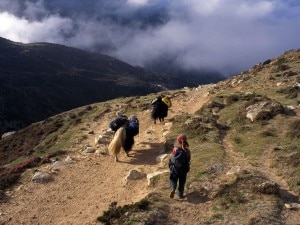 nepali-sherpa-