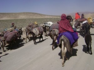 Seasonal migration in Himalaya region. Photo: ICIMOD