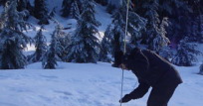 326px-Avalanche_probe_in_use_2-204x300.jpg