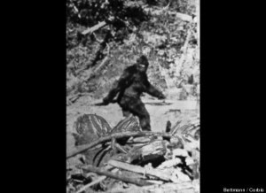 Bigfoot (foto Betmann Corbis - www.huffingtonpost.com)