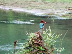 Photo: www.explorehimalaya.com 