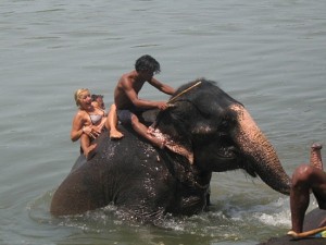 In this file photo foreigner tourists seemed enjoying elephant riding. Source: rainbowsafariresort.com.