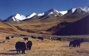 A view from the Upper Doplo. Photo: File photo