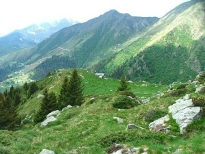 La foresta regionale di Foresta Regionale Azzaredo-Casù -foto d'archivio- (Photo courtesy of Ersaf Lombardia)