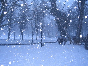 Nevicata (Photo courtesy of Wikimedia Commons)