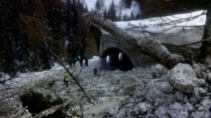 La valanga caduta al Passo Giau: sulla sede stradale sono stati trasportati neve, piante e materiale (Photo courtesy of Cnsas Veneto)