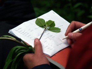 Lezione di botanica sul campo potrebbe essere uno dei corsi di Scienze della Montagna (Photo Nils Blomqvist courtesy of Nils Blomqvist/Swedish University of Agricultural Sciences/Wikimedia Commons)