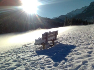 Sole in montagna (Darsie Claudio)