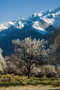 Central Karakorum National Park - Thaley La trek