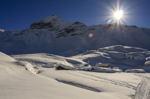 Una giornata di sole all'Alpe Prabello - Valmalenco (Danilo Genovina)
