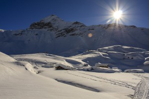 Una giornata di sole all'Alpe Prabello - Valmalenco (Danilo Genovina)
