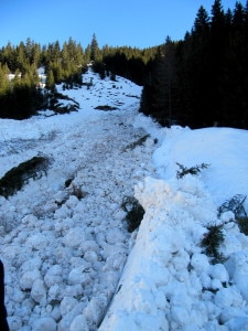 Valanga a Livinè (Foto Cnsas veneto)