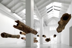 “Wood”, l'esposizione dedicata al legno presso il Museo delle Scienze (MuSe) di Trento (Photo courtesy of MuSe/Omnia Relations)
