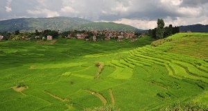 A view of Khokana village of Lalitpur district, situated 10 kilometers south west of the Capital Kathmandu. Locals of this village were reluctant for municipality citing that their cultural identity will be lost. Image: www.remotelands.com