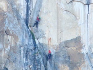 Allfrey e Honnold su Eagle's Way (Photo courtesy of ElCapReports)