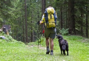 Cane accompagna il padrone in un'escursione in montagna (Photo ÖW/Christian Lendl courtesy of Flickr)