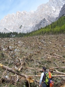 La situazione nei pressi del Rifugio Galassi (Photo courtesy of Cai Mestre/Loscarpone)