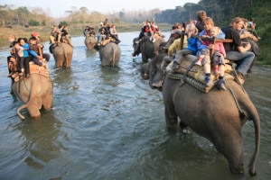 The park is famous for elephant safari.  Image: http://wildlifenepal.com
