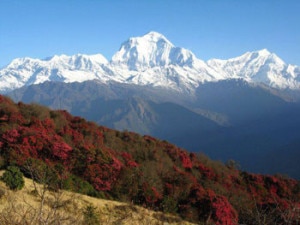 ghorepani-poon-hill-trek