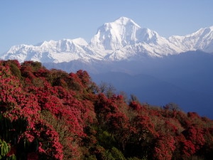 nepal_experience-300x225.jpg