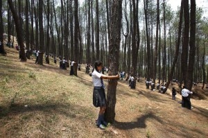 Nepalese students hug tree during a mass tree hugging on the world. Image:AP