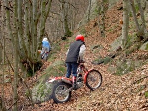 Photo of Motori su sentieri, pascoli e boschi di montagna: la Lombardia dice sì