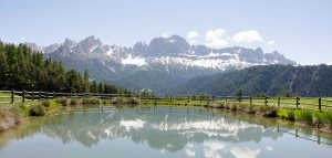 Alpi (Photo courtesy of Università di Bolzano)