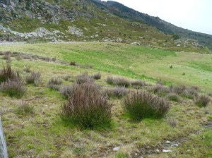 Carriere de L'Arriege Trimouns, un'area di miniera ripristinata nei Pirenei (Foto Matteo Crottogini)