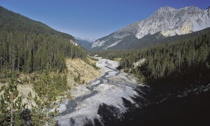 Parco Nazionale Svizzero (Photo courtesy of nationalpark.ch)Parco Nazionale Svizzero (Photo courtesy of nationalpark.ch)