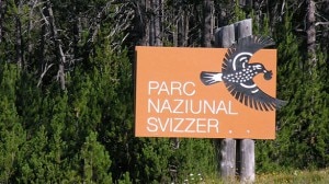 Parco Nazionale Svizzero (Photo courtesy of Hansueli Krapf/Wikipedia.org)