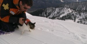 L'addestramento di un gatto per il soccorso in valanga (Photo courtesy of Carca.ca)