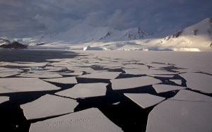 Il ghiaccio marino antartico (Photo Jason Auch courtesy of Flickr/Wikimedia Commons)