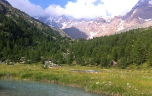 Monte Disgrazia da Predarossa