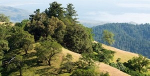 Photo of California: ong e amministrazione salvano Pole Mountain dal cemento