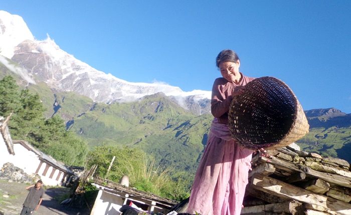 Mt-Himalaya.jpg