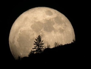 Super-luna (Photo courtesy www.meteoportaleitalia.it)