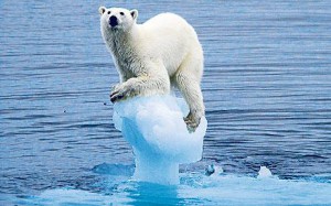 climate-change_1509200c-300x187.jpg