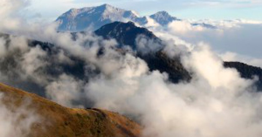 novembre-guide-300x199.jpg