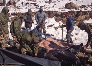 Nepali security personnel rescue stranded trekkers in Himalaya. Image source: dailymail.co.uk