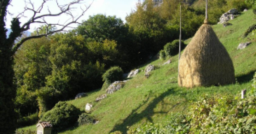 Agricoltura-montana-photo-www.ersaf_.lombardia.it_-300x225.jpg