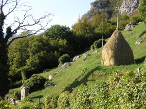 Agricoltura di montagna (photo www.ersaf.lombardia.it)