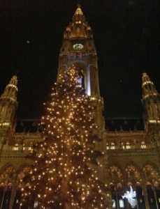 Albero di Natale di Vienna (Photo archivio www.cusoon.at)