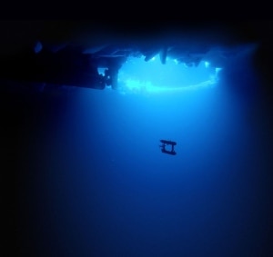 Il robot subacqueo in azione (Photo Klaus Meiners / Woods Hole Oceanographic Institution / British Antarctic Survey)